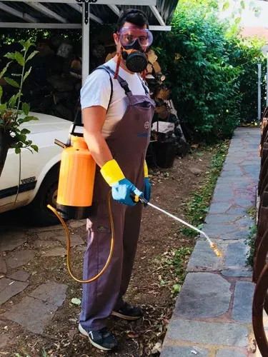 Ψεκασμός σε αυλή